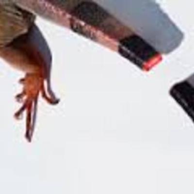 Timeline: Regenerative Medicine Timeline