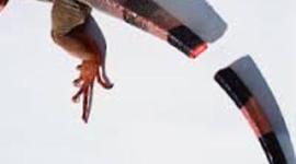 Timeline: Regenerative Medicine Timeline