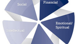 Timeline: My Well-Being