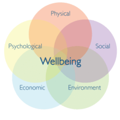 Timeline: My Well-Being