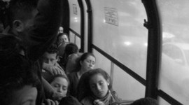 Timeline: Desarrollo social