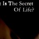 Secretoflife