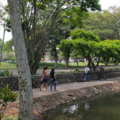 Timeline: Origen De Las Universidades