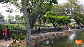 Timeline: Origen De Las Universidades