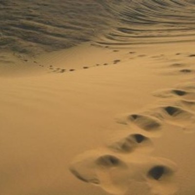 Timeline: Prophet Muhammad 622-628