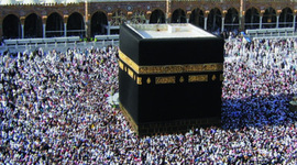 Timeline: Patrick Wisz