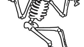 Timeline: Social Distortion