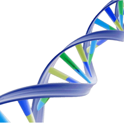 Timeline: DNA History
