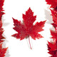 O canada flag facebook
