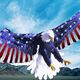Usa directauto org eagle1