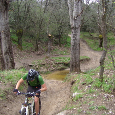 Timeline: Regreso al pasado