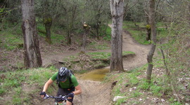 Timeline: Regreso al pasado