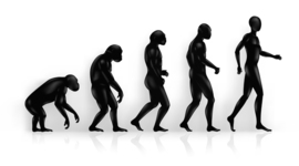 Timeline: JMS Evolution timeline