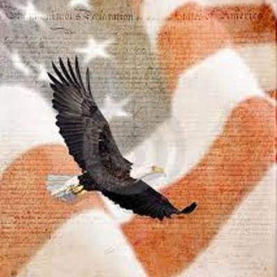 Timeline: Flying towards the Constitution