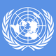 The united nations logo