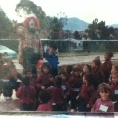 Timeline: FORMACIÓN INSTITUCIONAL