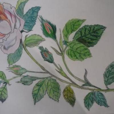 Timeline: "La misma flor que hoy admiráis mañana estará muerta"