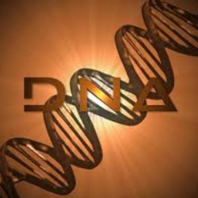 Timeline: DNA timeline