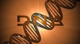 Timeline: DNA timeline