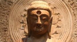 Timeline: Michaela Chinese Dynasty