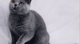 Timeline: Things and stuff