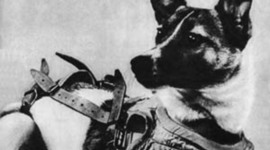 Timeline: Space history