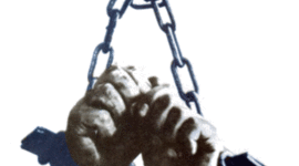 Timeline: DERECHO PENITENCIARIO