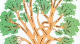 Timeline: A magyar nyelv történeti korszakai