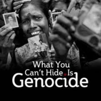 Timeline: Genocide's Timeline