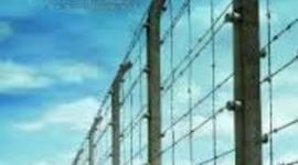 Timeline: The Boy in the Striped Pajamas