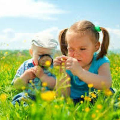 Timeline: La Investigación