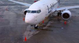 Timeline: tradicion familiar