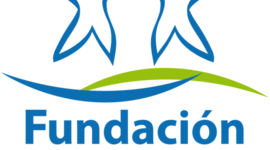 Timeline: Fundación Comunitaria Cozumel, IAP