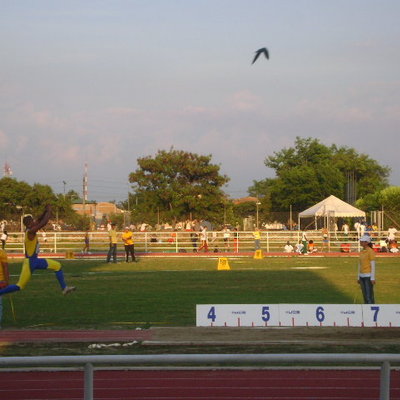 Timeline: cultura deportiva y entrenamiento deportivo