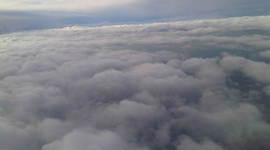 Timeline: tradicion,relacion genealogica y vida