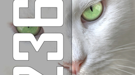 Timeline: 2363 - Eventos anteriores a história do livro