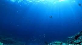 Timeline: History of Oceanography