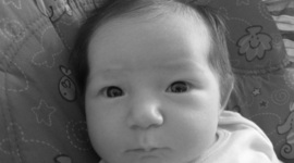 Timeline: Isabella Brooke Cantor