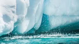 Timeline: Vincent su