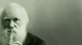 Timeline: Charles Darwin y el viaje que revolucionó la ciencia
