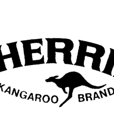 Timeline: Evolution of the Sherrin Football