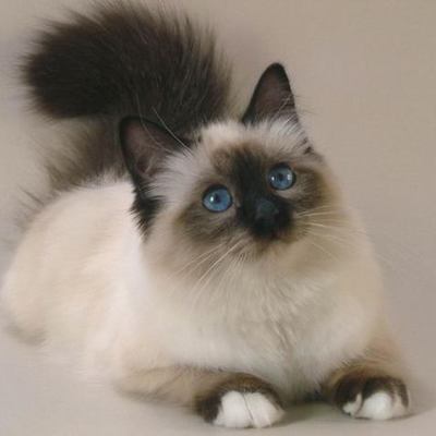 Timeline: Шкала времени курса по математике