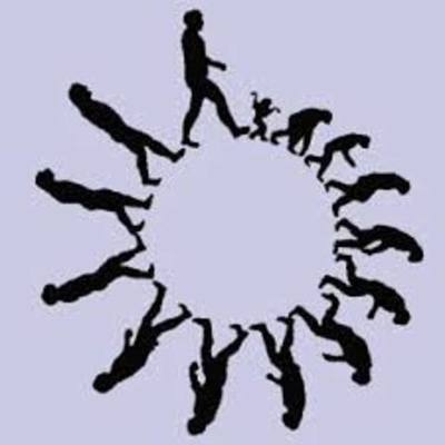 Timeline: DESARROLLO DE LA TEORÍA DE LA EVOLUCIÓN