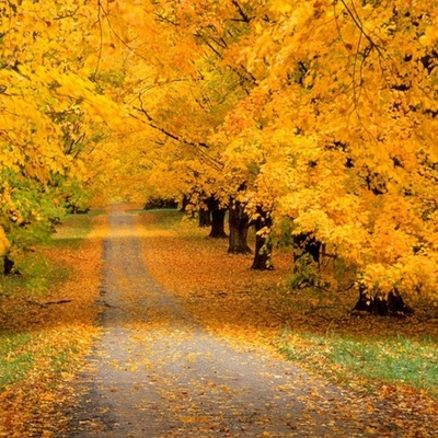 Timeline: HELEN camino hacia la tecnologia