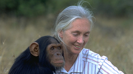 Timeline: Herstory: Jane Goodall