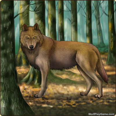 Timeline: WolfPlay ♃