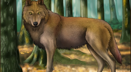 Timeline: WolfPlay ♃