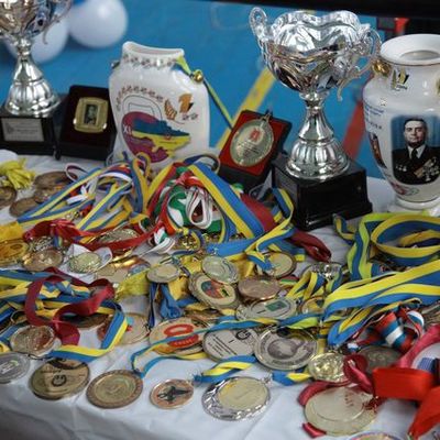 Timeline: Достижения Любови Черепахи