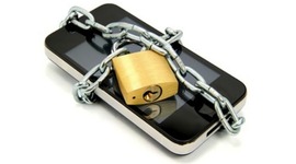 Timeline: Cell Internet Use & Theft