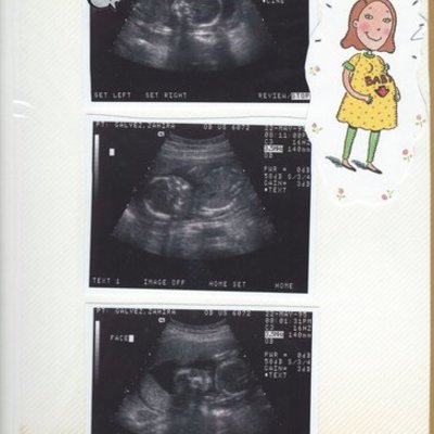 Timeline: La vida de Jenny